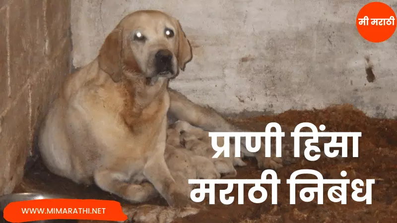 Essay On Animal Cruelty in Marathi